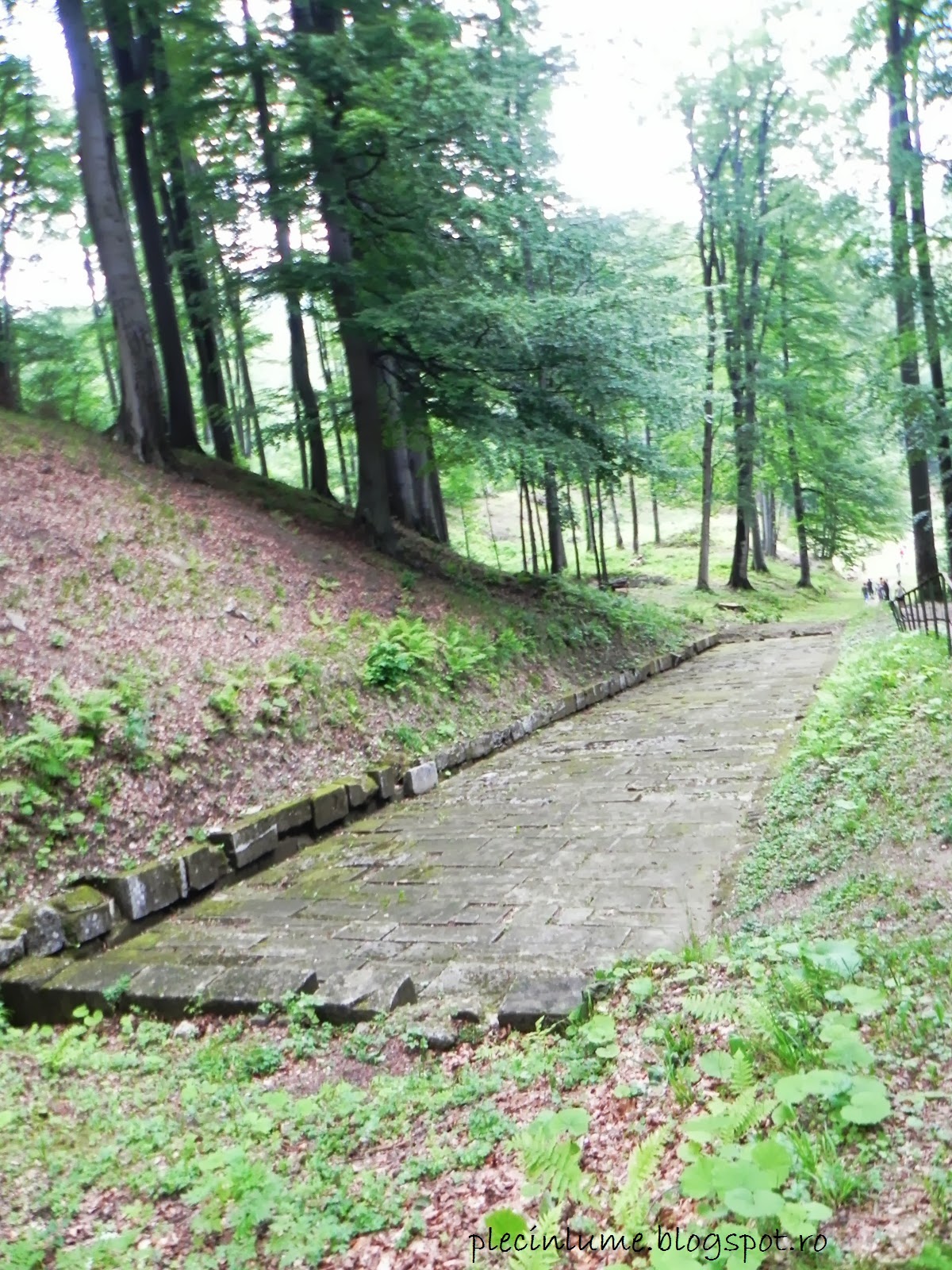 Drum pavat la Sarmizegetusa Regia Drum pavat la Sarmizegetusa Regia