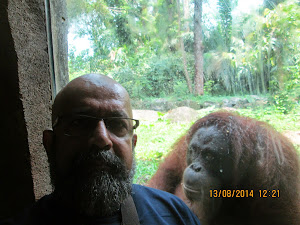 Selfie at Ragunan zoo :- Orangutans have attraction to me in all zoo's that i visit.