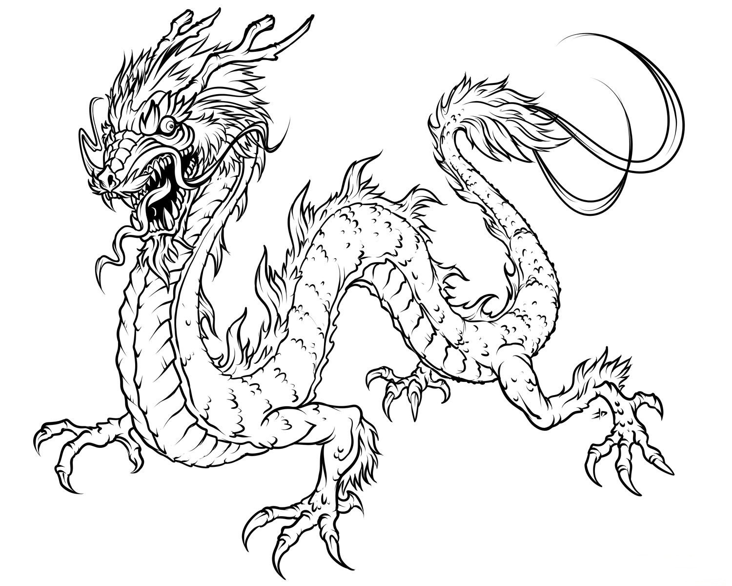 Dragon Coloring Pages Realistic   Realistic Coloring Pages