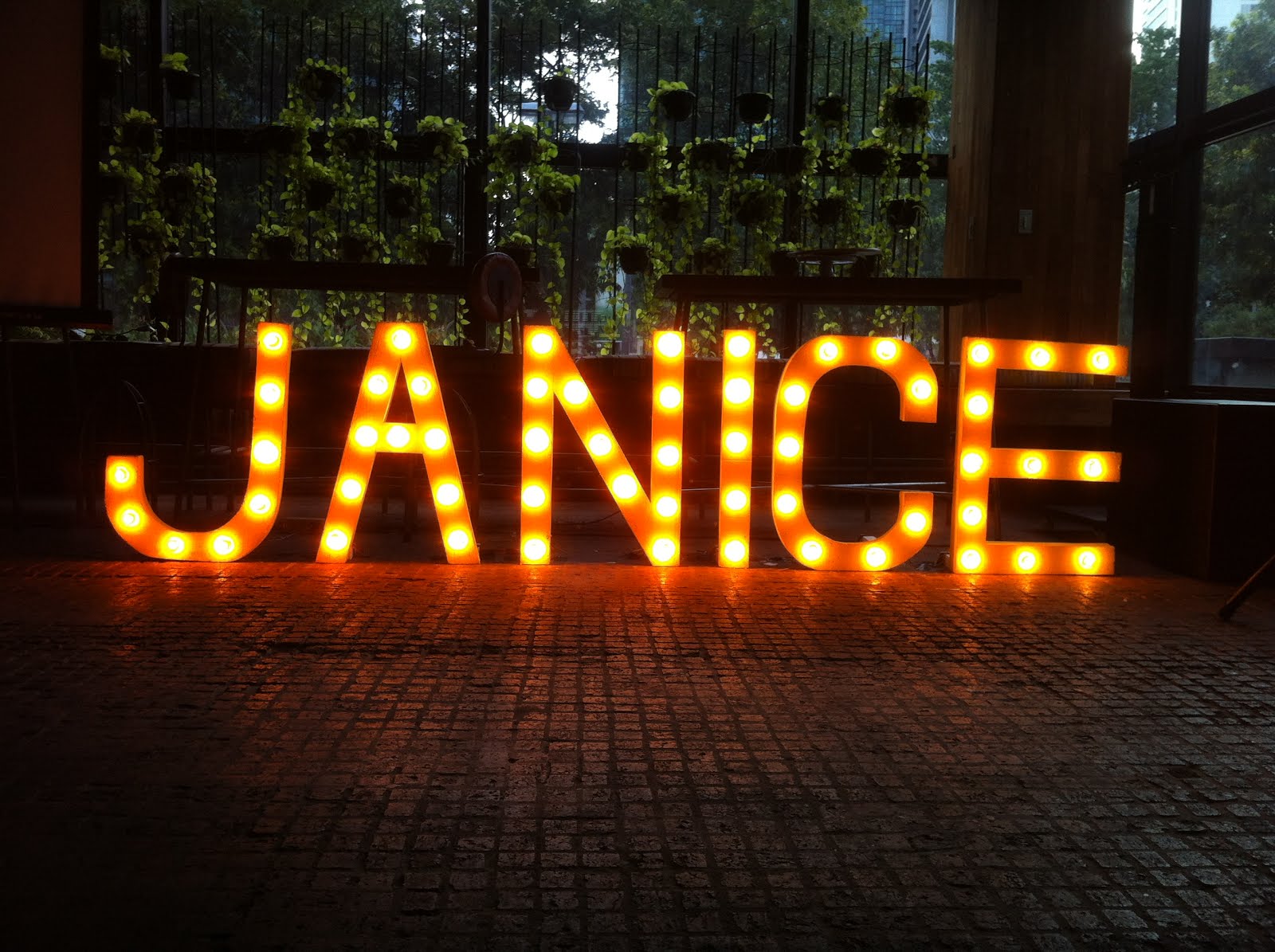 LIGHT NAME JANICE