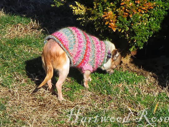 kyeese Dog Sweaters for Small Dogs with Leash Hole Dog Sweater Snowflake Pattern with Gingham Patchwork Knit Warm Pet Sweater