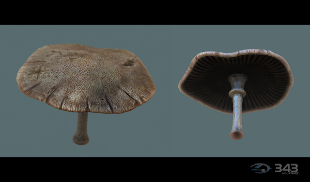 Halo 4 organics plants and foliage