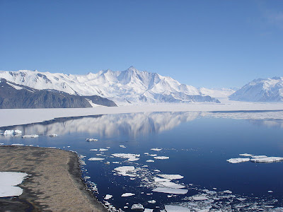 Antarctica Antarctica