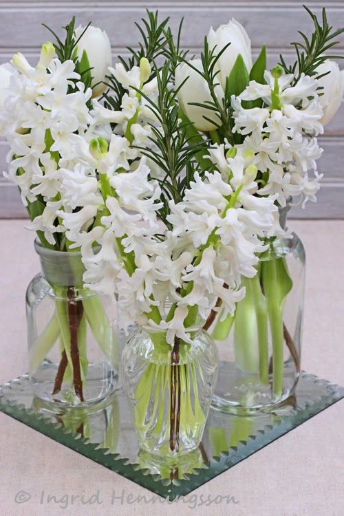 new year white flower of and summer flowers by ingrid titti new year white flower of and summer flowers by ingrid titti