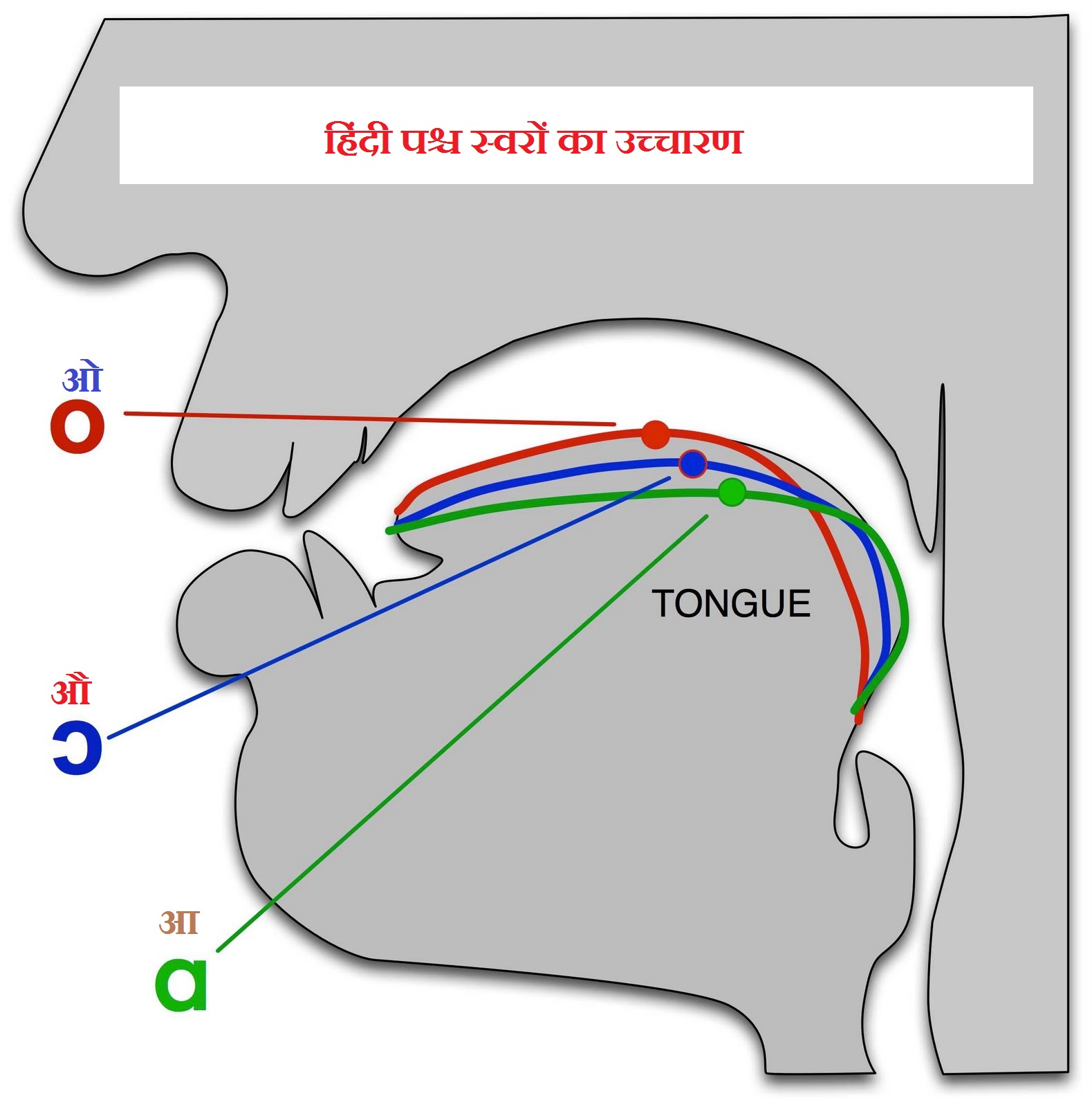 Professor Ram Lakhan Meena Hindi Language