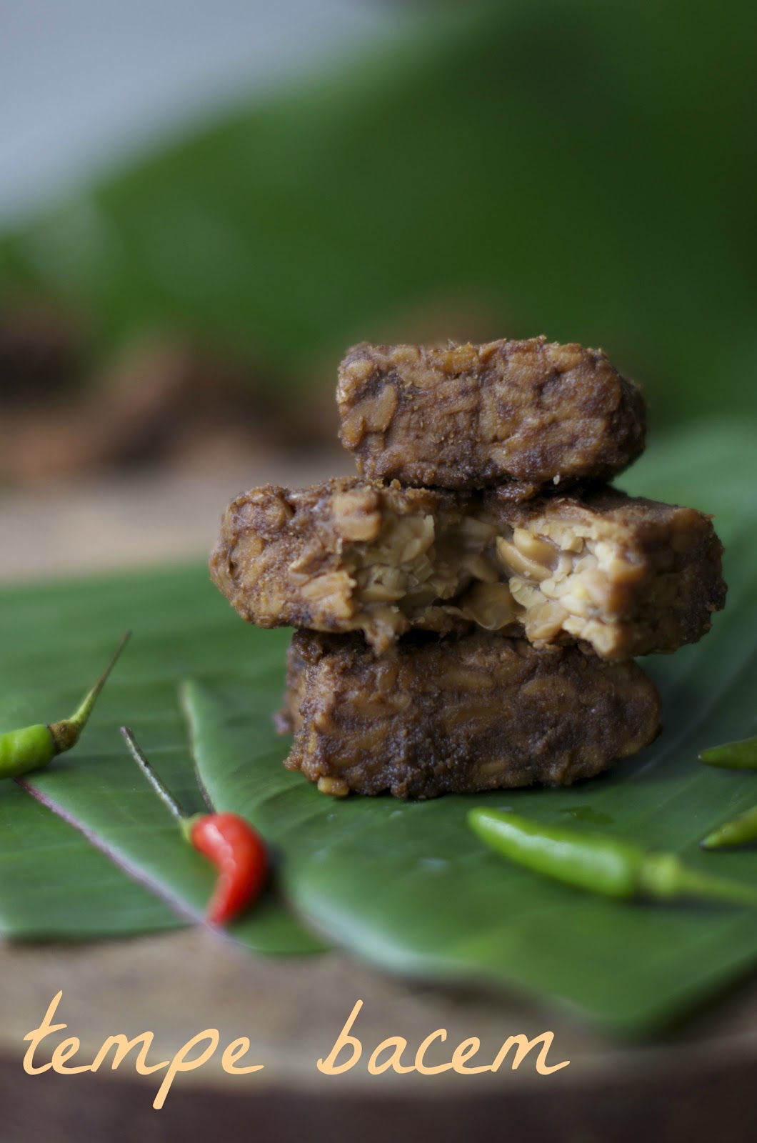 Indonesian Medan Food Tempe Bacem ( Marinated Tempeh )