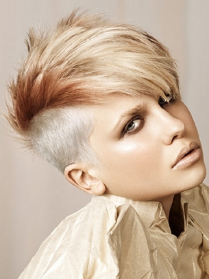 Short Hairstyle Ideas Short Hairstyle Ideas