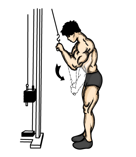 tricep oefeningen