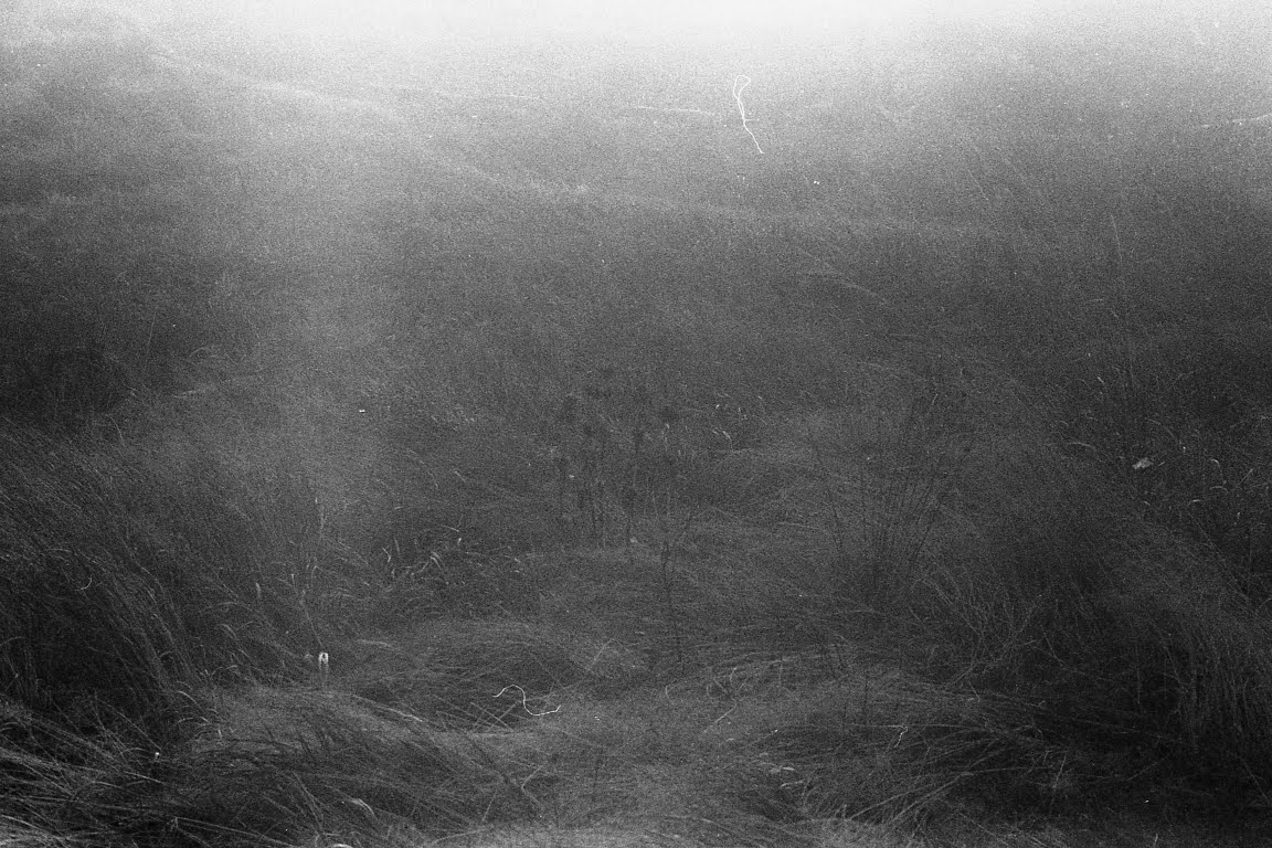 Fotografie z cyklu: Ona bouřka On strom