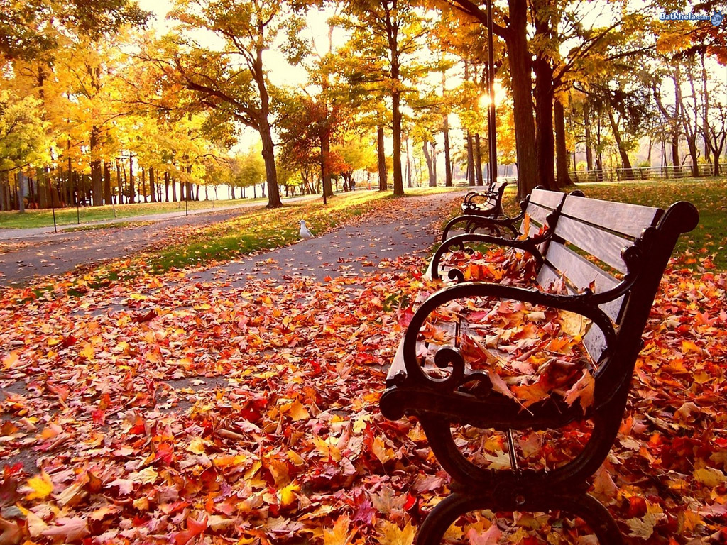 Beautiful Wallpaper HD | Nice Wallpapers