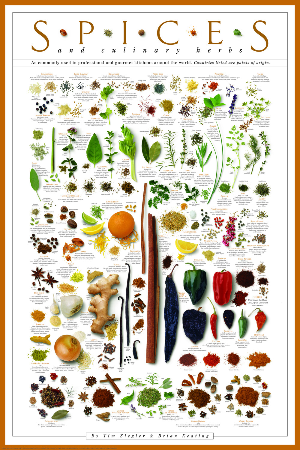 Lisa's Kitchen | Vegetarian Recipes | Cooking Hints | Food & Nutrition