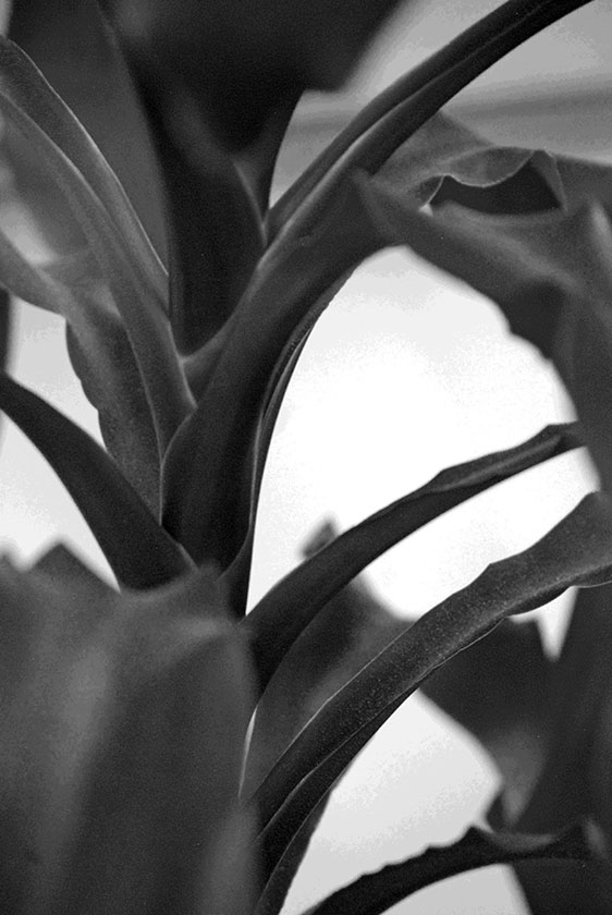 Contrast Element Of Design : Elements of design