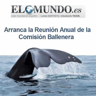 Santuario de Ballenas de América del Sur