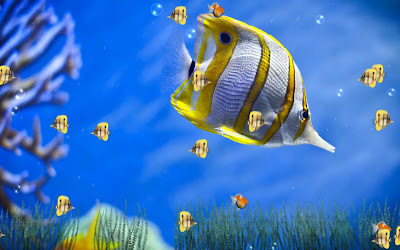Animated Wallpaper Animated Wallpaper