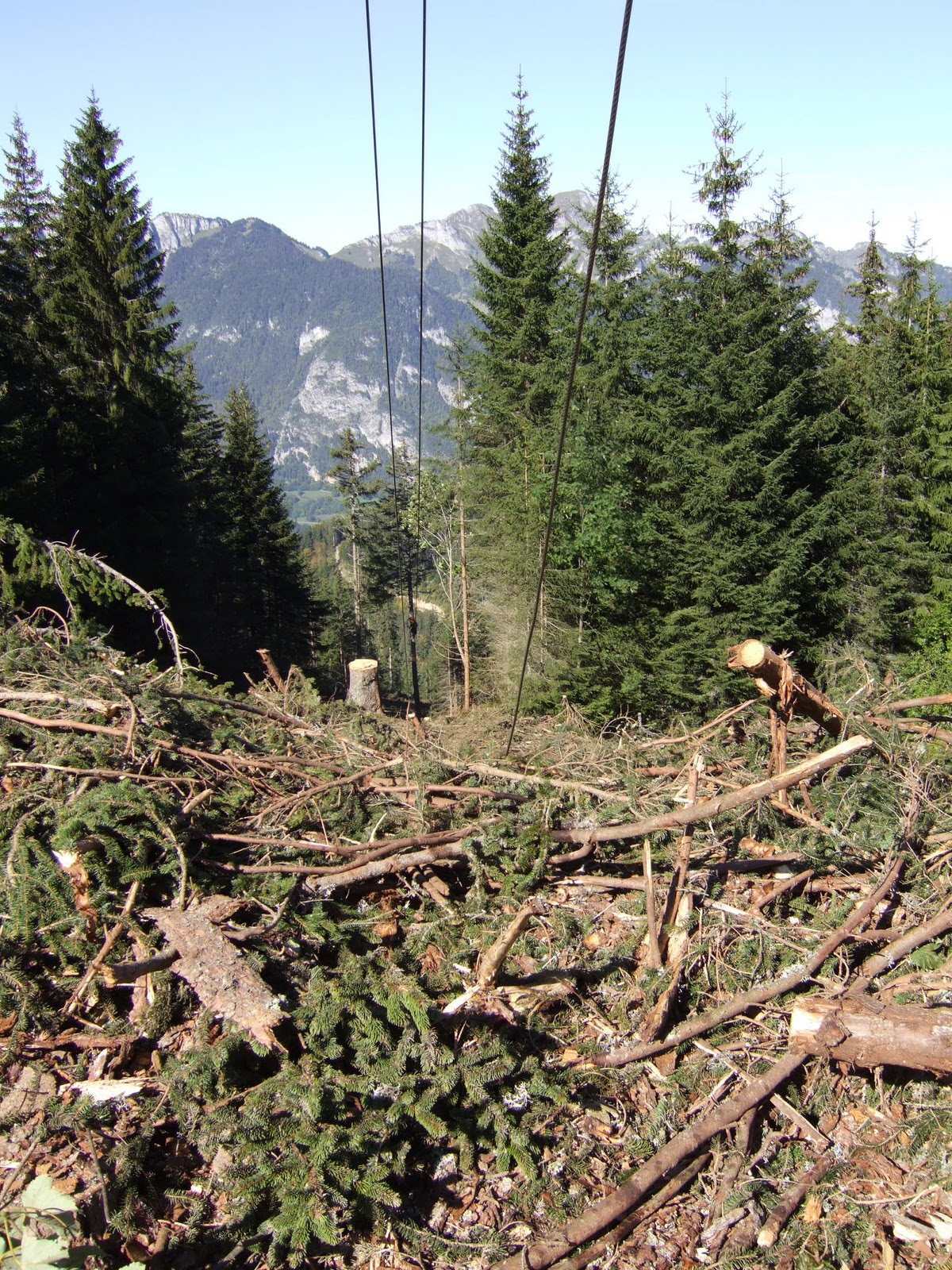 AMOMA de HauteSavoie Le câblemât un moyen de débardage de bois qui