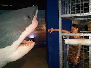 Japan Osaka Aquarium Kaiyukan Gallery