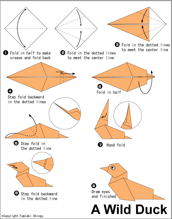 Wild Duck - Easy Origami instructions For Kids