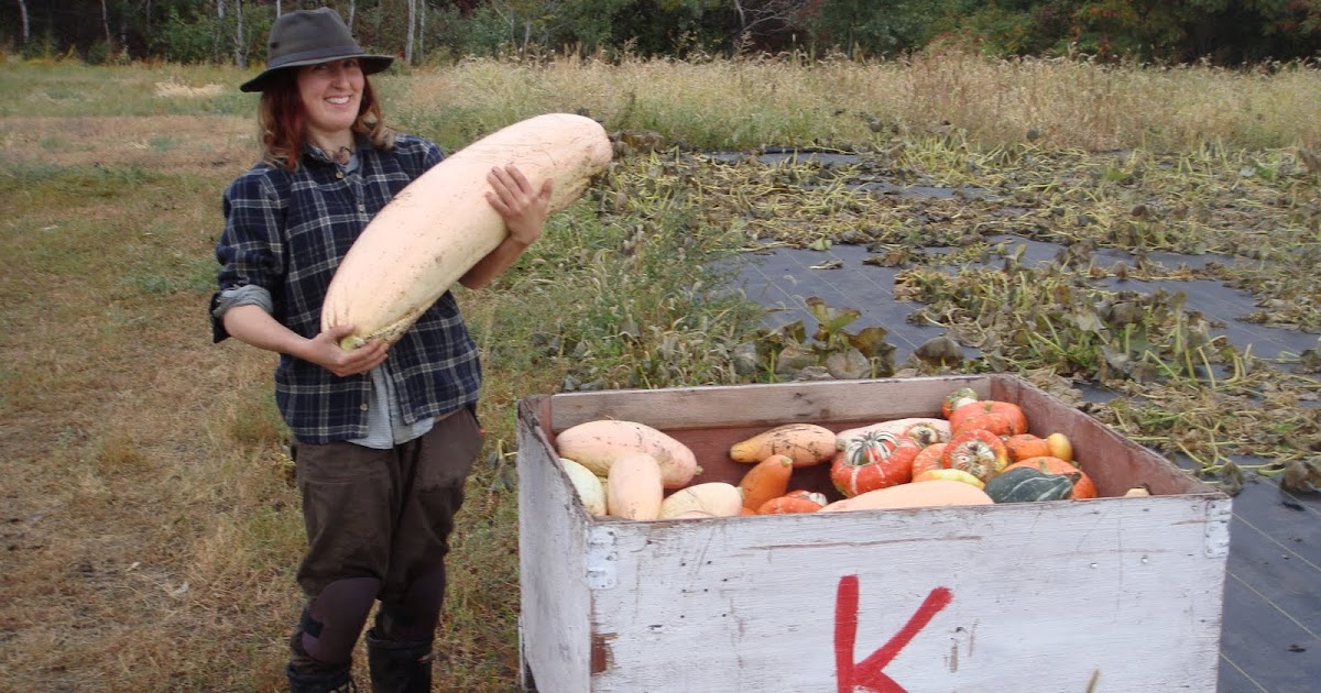 Cultivating Adventure Squash Harvest