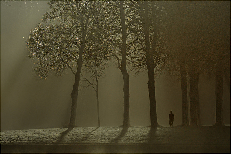 Emerging Photographers, Best Photo of the Day in Emphoka by Marie Lalanne Manzor Emerging Photographers, Best Photo of the Day in Emphoka by Marie Lalanne Manzor