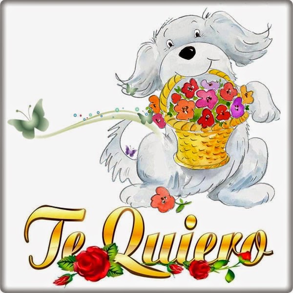 Te Quiero Mucho Te Quiero Mucho