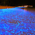 Luzes no mar