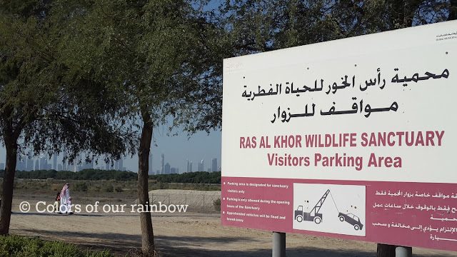 Ras al Khor Wild life Sanctuary and Zabeel Palace Gardens: Flamingos and Peacocks : @http://colorsofourrainbow.blogspot.ae/