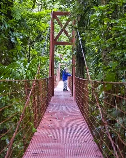 Monteverde Cloud Forest Reserve 