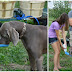 Gulpy Giveaway: Portable Dog Water Bottle
