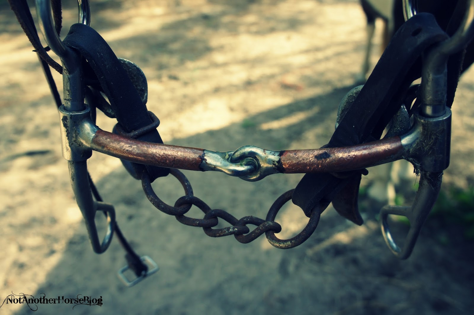 Not Another Horse Blog Proper Bit Fit Tom Thumb vs. Shanked Snaffle