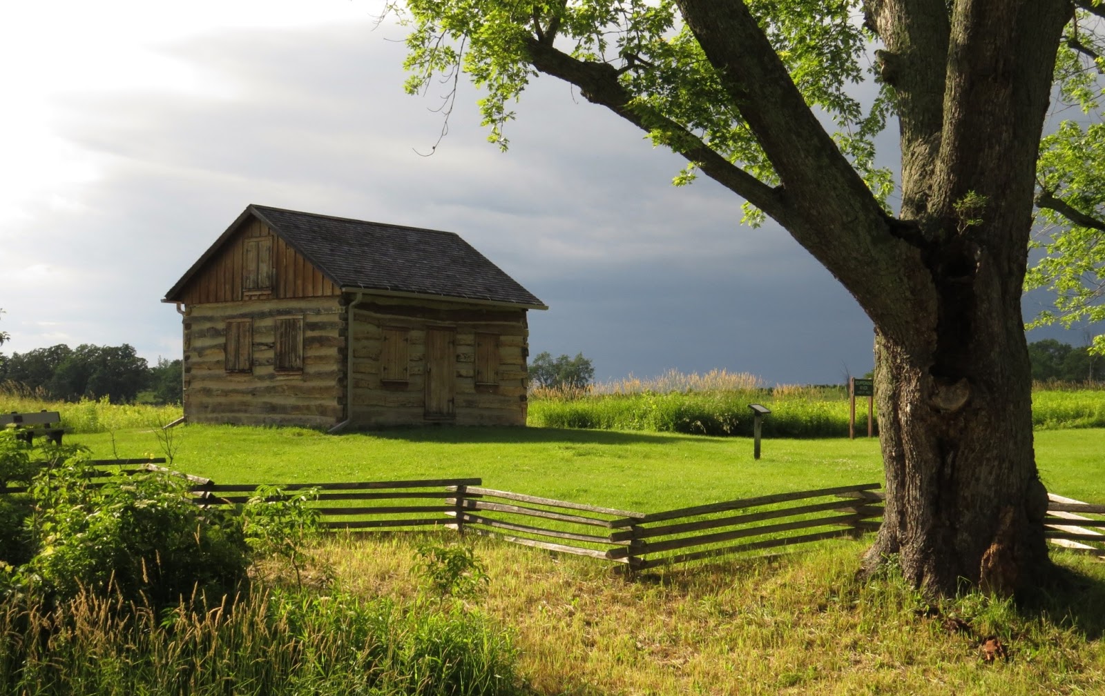 Nomadic Newfies Pinewoods Campground, Kettle Moraine Southern Unit