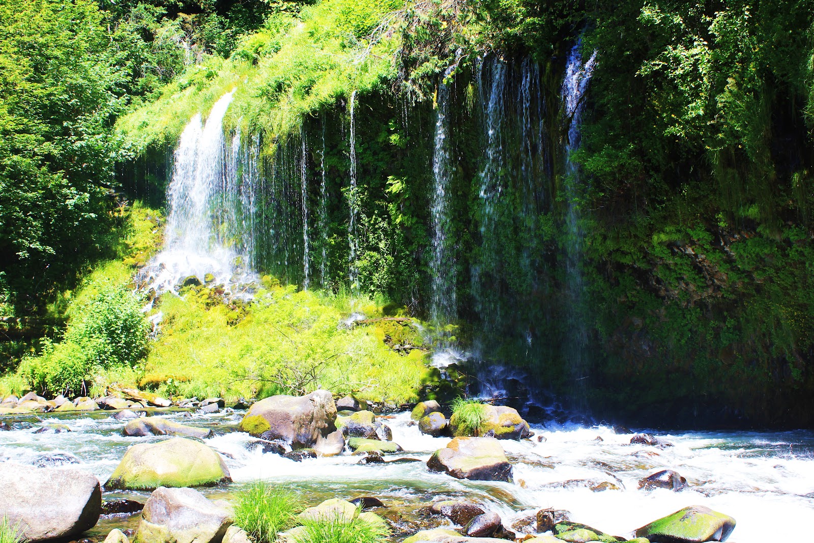 Just Focus Mossbrae Falls, Dunsmuir CA