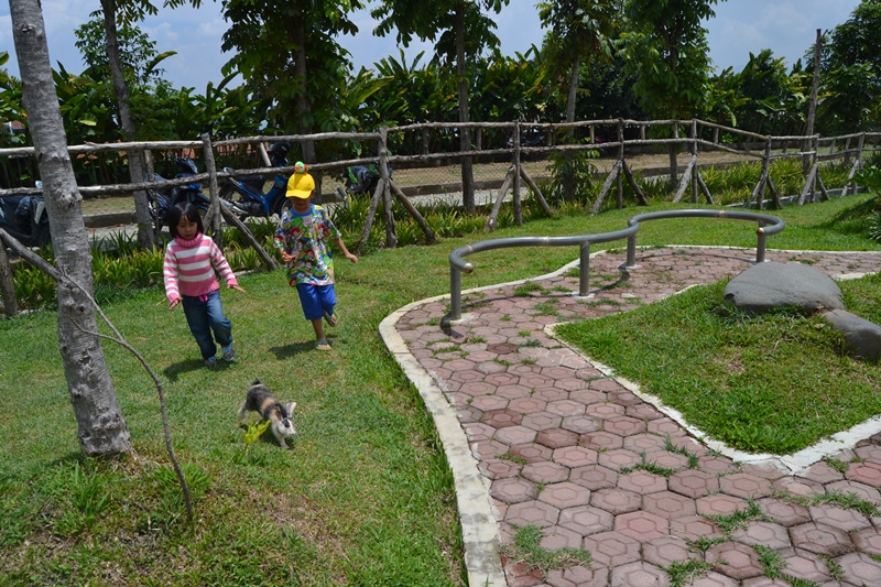 Santai di Taman Kelinci Ciwidey-Bandung, Nam &amp; Cipo Berlari-lari