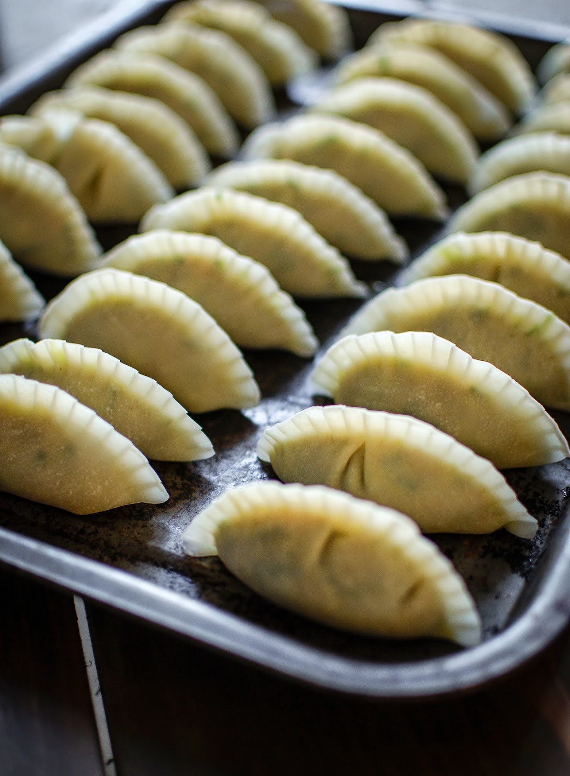 Homemade Chicken Gyoza Katie Cakes
