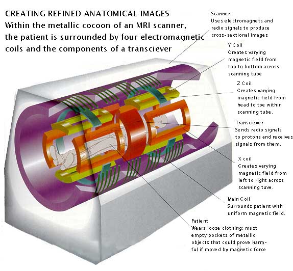 Sleep and Neurology MRI and CT scans