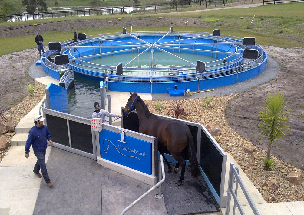 Horse Water Walker Flexywalker