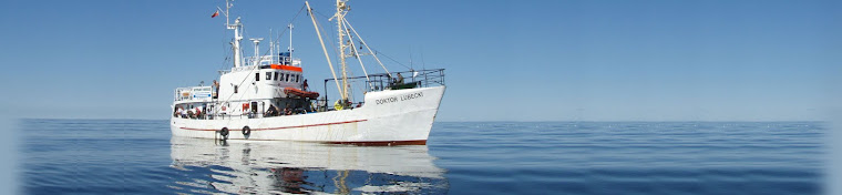 M/Y  DOKTOR  LUBECKI