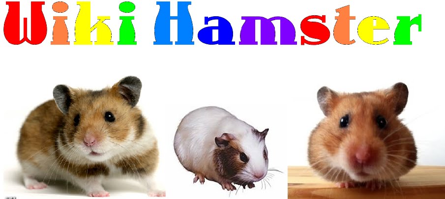Wiki Hamster