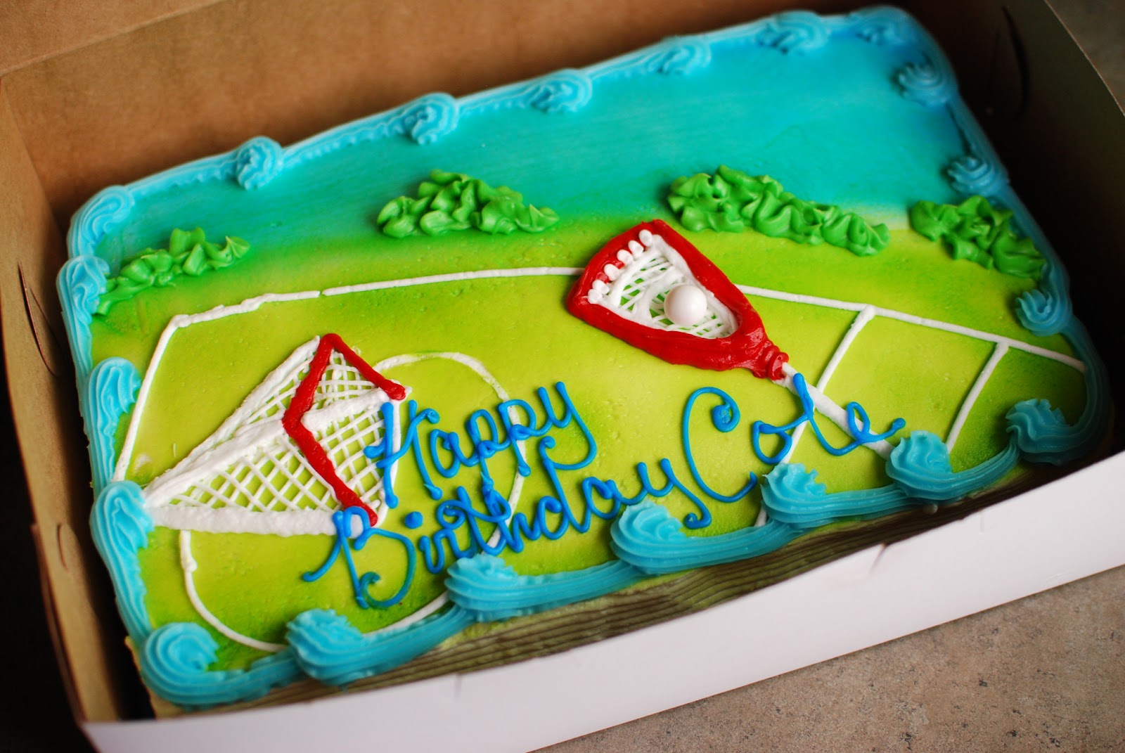 A Daily Snapshot of 2013 Lacrosse Cake
