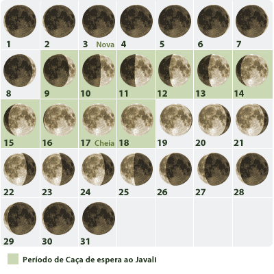 CALENDÁRIO LUNAR