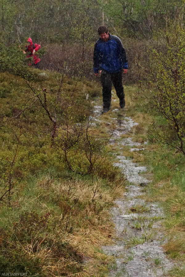 aliciasivert, alicia sivertsson, alicia sivert, fjällvandring, vandra i fjäll, fjällen, fjällvandra, vemdalen, vemdalsskalet, hike, hiking in sweden, härjedalen, norrland, sverige, varggranshågna