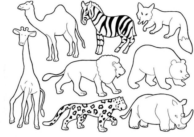 3 animales herbívoros para colorear - Imagui