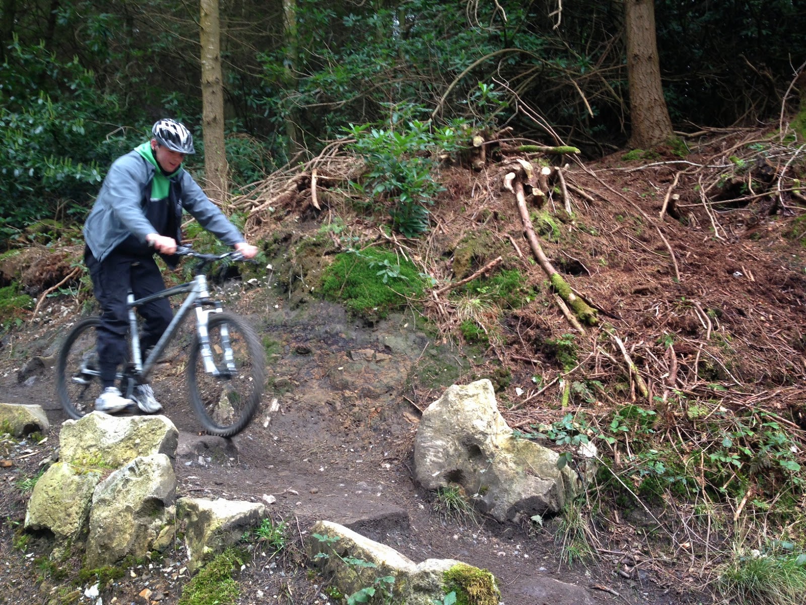 haldon hill mountain biking