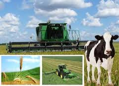 Administracion de empresas agropecuarias