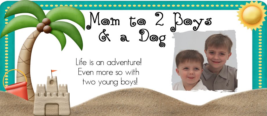Mom to 2 boys and a dog!