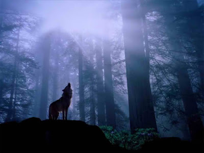Claiming the Shadow, A Key to Wholeness Claiming the Shadow, A Key to Wholeness