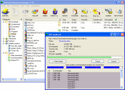 Internet Download Manager 6.07 Build 10 Final