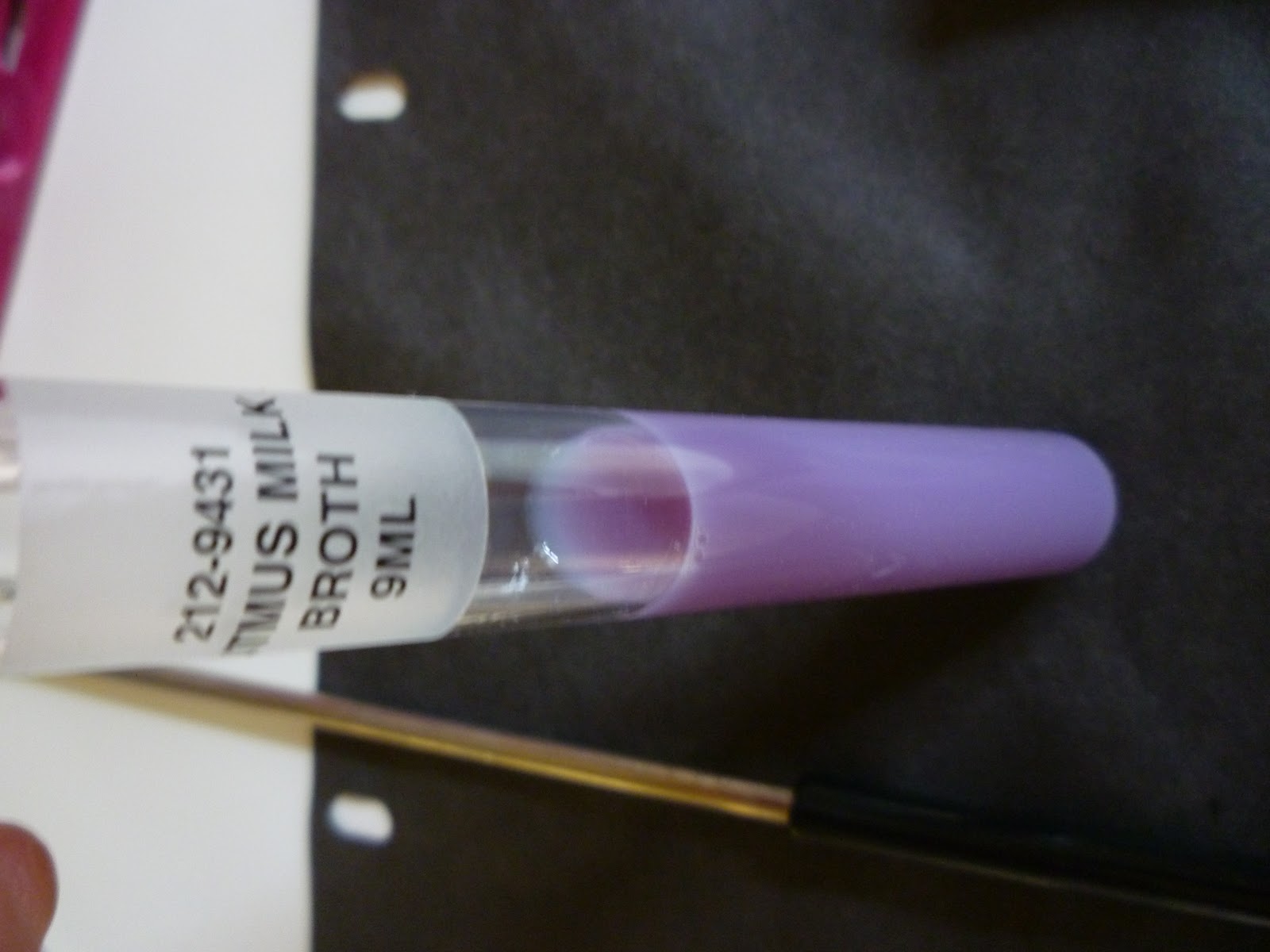 Peptonization litmus milk image