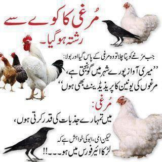 Funny ghazal sms in hindi Funny ghazal sms in hindi