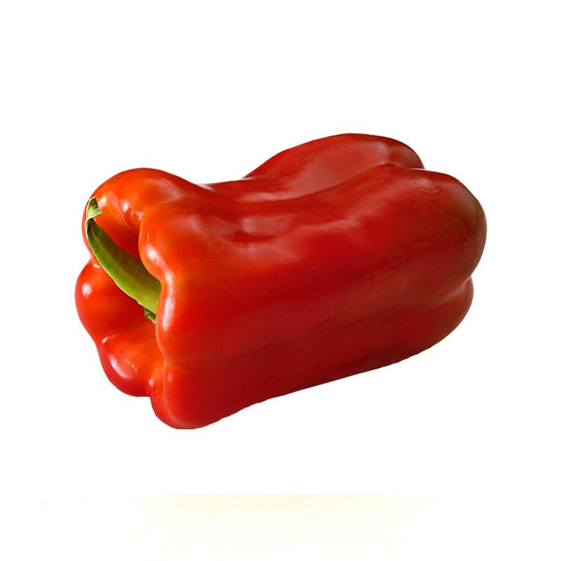 pimiento définition What is