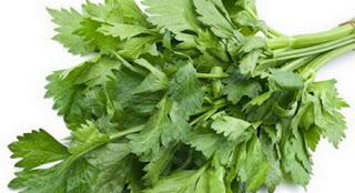 Khasiat Daun Seledri Untuk Wajah Khasiat Daun Seledri Untuk Wajah